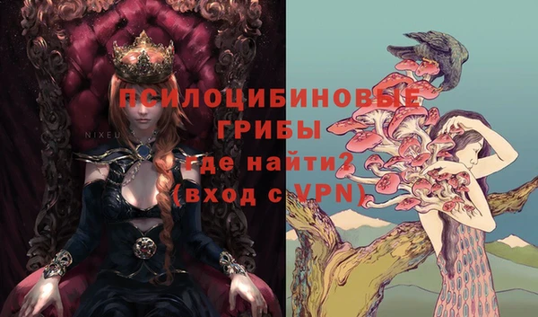 прущие крисы Снежногорск