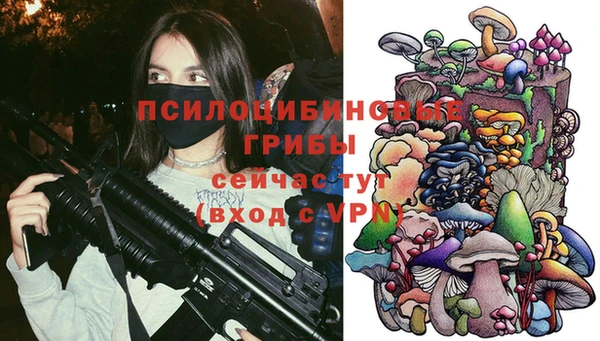 a pvp Снежинск